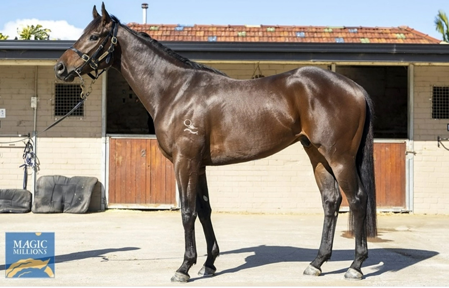 JOHNNY DASH Gets the CASH for Dynamic Annabel Neasham